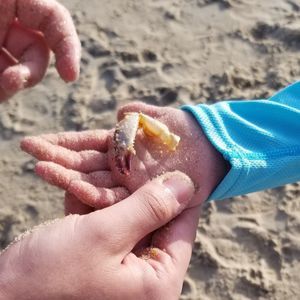 Meet your Posher, Shannon